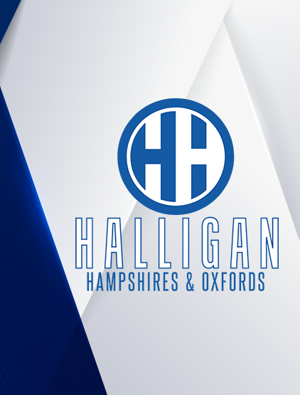 Halligan Hampshires