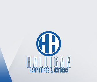Halligan Hampshires